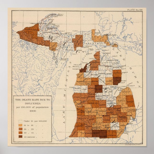 108 Influenza Michigan Poster (Front)
