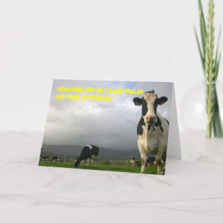 10,000 Cows Can't be Wrong Greeting Card