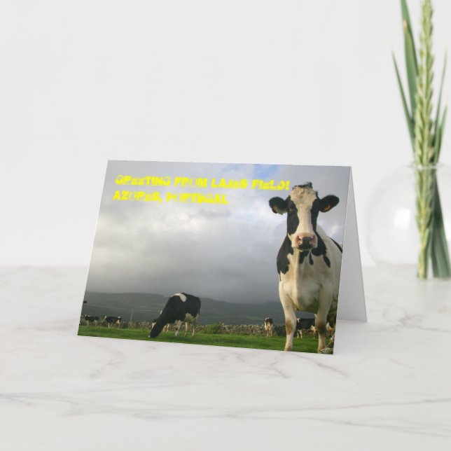 10,000 Cows Can't be Wrong Greeting Card (Front)