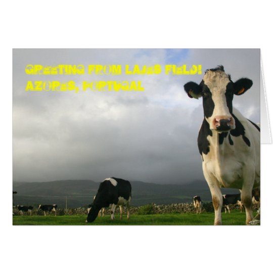 10,000 Cows Can't be Wrong Greeting Card