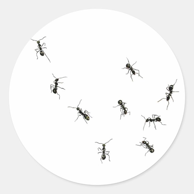 10 ants classic round sticker (Front)