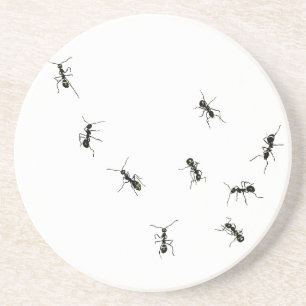 10 ants coaster