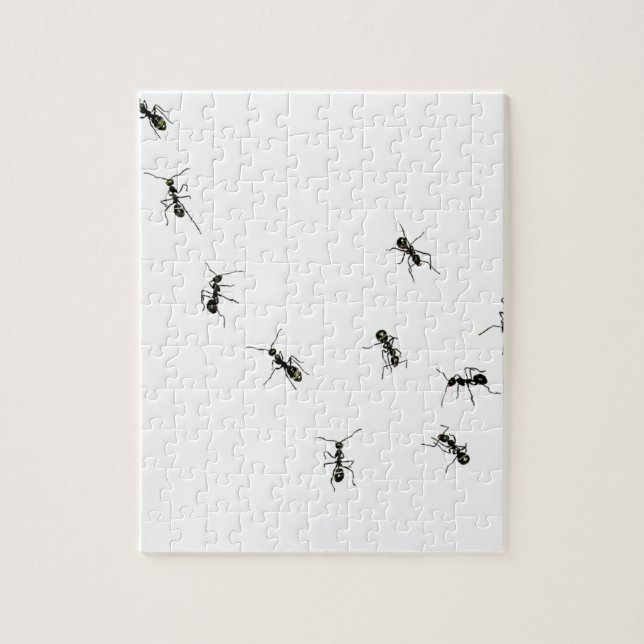 10 ants jigsaw puzzle (Vertical)