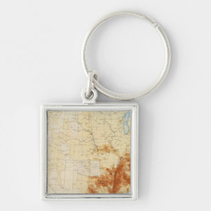 10 Coloured population 1890 Key Ring