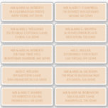 10 Individual Guest Name Address Champagne Gold<br><div class="desc">10 Individual Guest Name Address Celestial Champagne Gold Wedding Stickers features 10 stickers with your individual guest name and address on each sticker in golden script on a champagne background. Also perfect for Christmas and Holiday cards, party invitations, thank you cards and office mail outs. Simply edit the text in...</div>