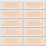 10 Individual Guest Name Address Champagne Gold<br><div class="desc">10 Individual Guest Name Address Celestial Champagne Gold Wedding Stickers features 10 stickers with your individual guest name and address on each sticker in golden script on a champagne background. Also perfect for Christmas and Holiday cards, party invitations, thank you cards and office mail outs. Simply edit the text in...</div>