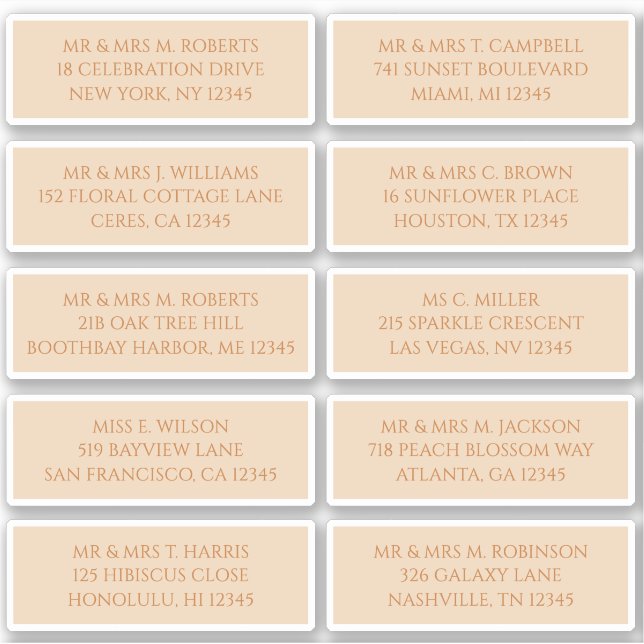 10 Individual Guest Name Address Champagne Gold (Front)