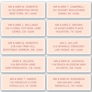 10 Individual Guest Name Address Party Wedding