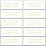 10 Individual Guest Name Address Party Wedding<br><div class="desc">10 Individual Guest Name Address Party Wedding Gold Script Stickers features 10 stickers with your individual guest name and address on each sticker in goldenrod gold script on a white background. Also perfect for Christmas and Holiday cards, birthday party invitations, wedding invitations, baby showers, bridal showers, thank you cards and...</div>
