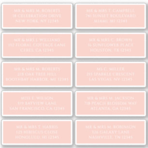 10 Individual Guest Name Address Party Wedding