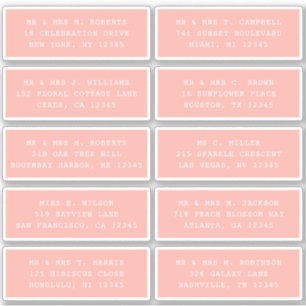 10 Individual Guest Name Address Party Wedding Sti