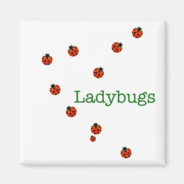 10 ladybugs magnet (Front)