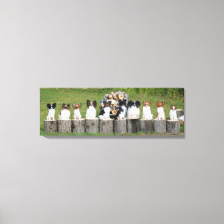10 Little Papillons Canvas Print