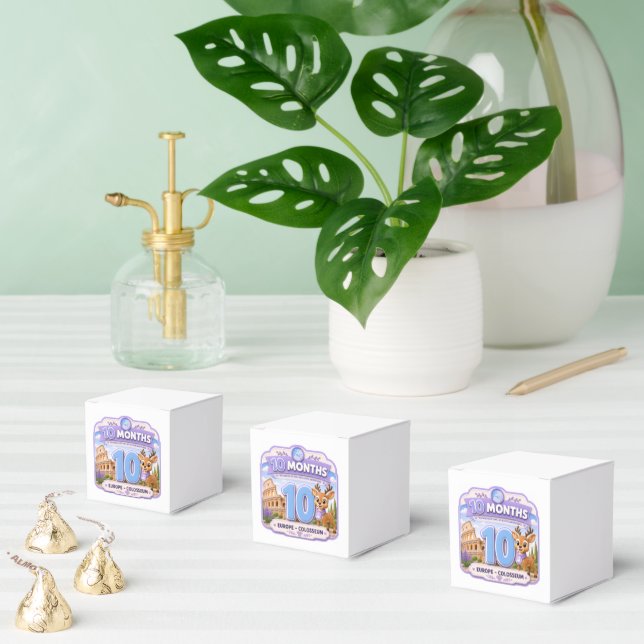 10 Months Baby Milestone Explorer Favour Box (Multiple)