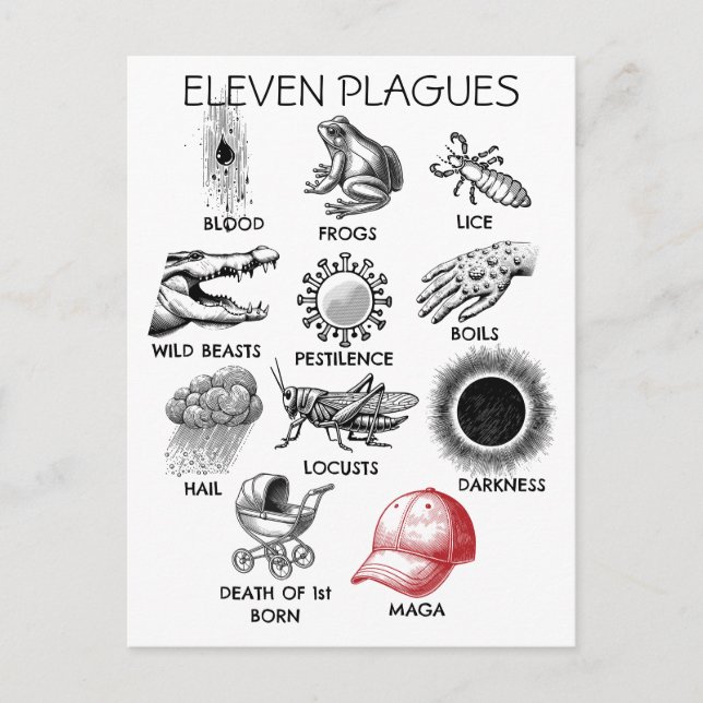 10 Plagues Humour Postcard (Front)