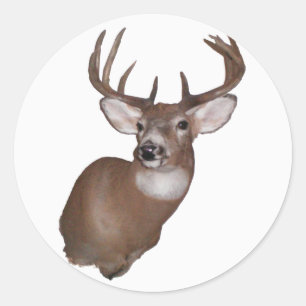 10 Point Buck Classic Round Sticker