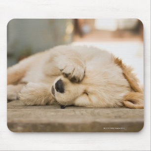 10 week old puppy rubbing its eyes mouse pad
