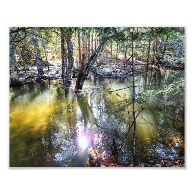 10"x8" Photo Print || A Walk By Sage Creek (Front)