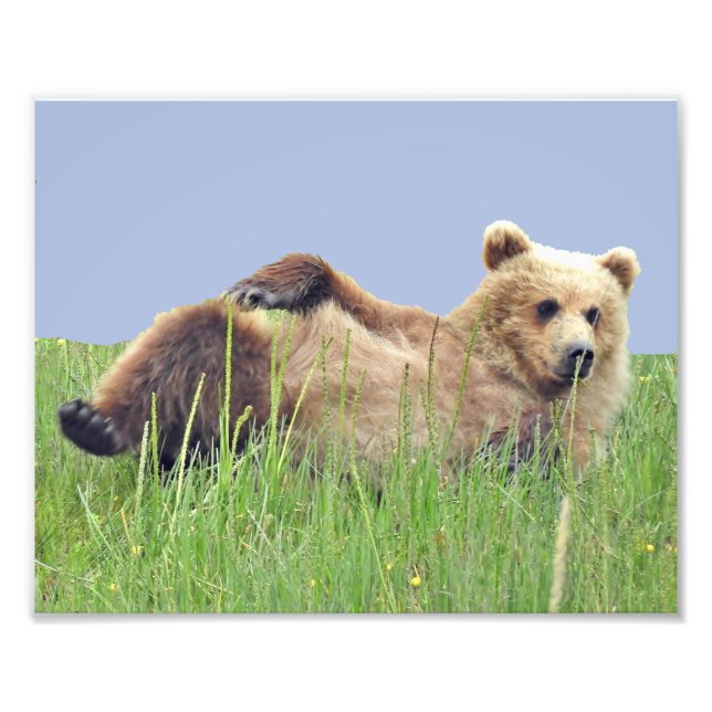 10" x 8", Kodak Professional Photo Paper (Satin) (Front)