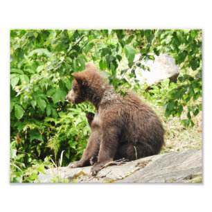 10" x 8", Kodak Professional Photo Paper (Satin)