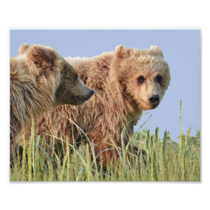 10" x 8", Kodak Professional Photo Paper (Satin)