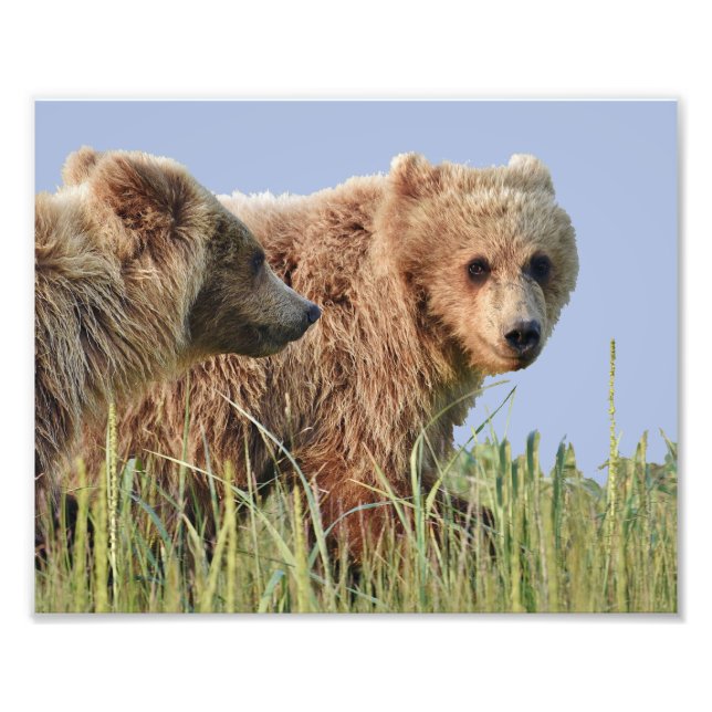 10" x 8", Kodak Professional Photo Paper (Satin) (Front)