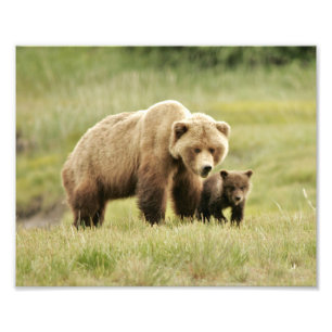 10" x 8", Kodak Professional Photo Paper (Satin)