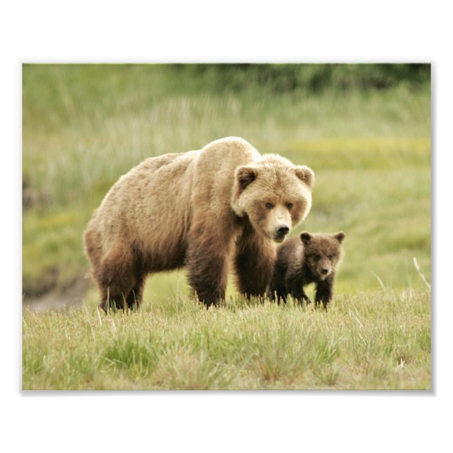 10" x 8", Kodak Professional Photo Paper (Satin) (Front)