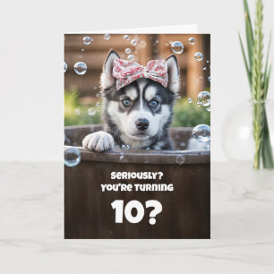 10th Birthday Cute and Funny Husky in a Tub Card
