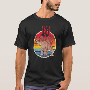 10th Birthday I Stegosaurus Stenops I Family Match T-Shirt