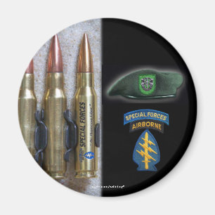 10th special forces flash patch iraq magnet vfw