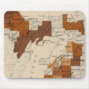 110 Typhoid fever Michigan Mouse Pad