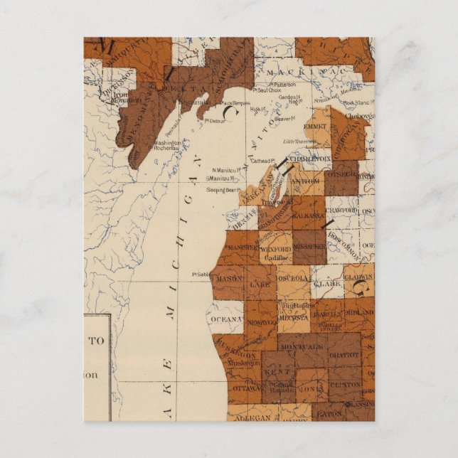 110 Typhoid fever Michigan Postcard (Front)