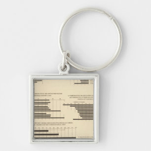 111 Death rates 1900 Key Ring