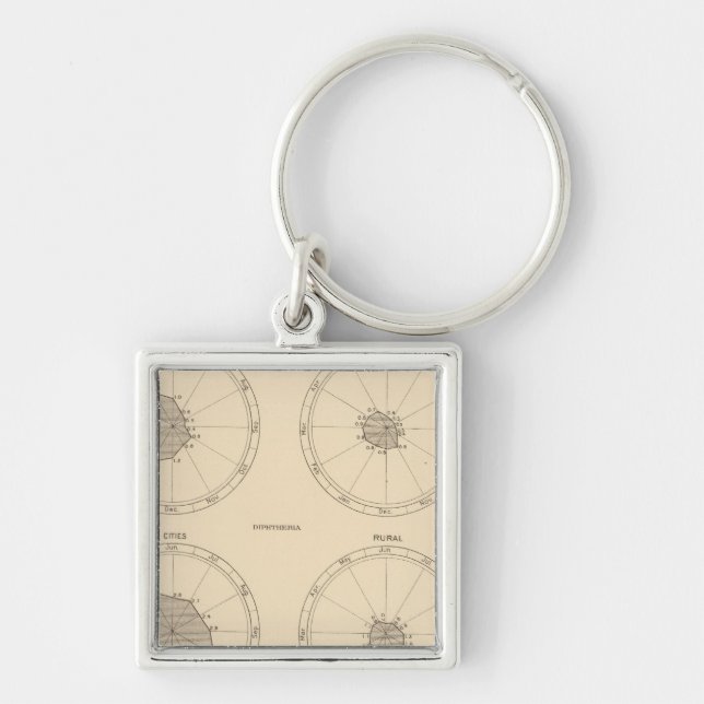 115 Deaths scarlet fever, diphtheria Key Ring (Front)