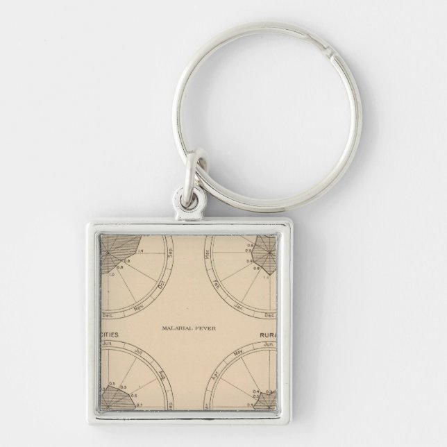 116 Deaths whooping cough Key Ring (Front)