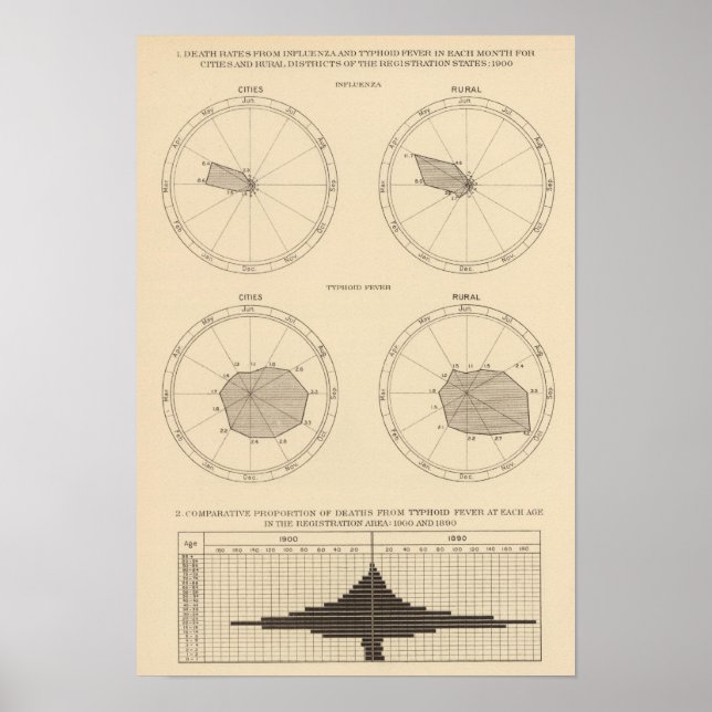 117 Deaths influenza, typhoid fever 1900, 1890 Poster (Front)