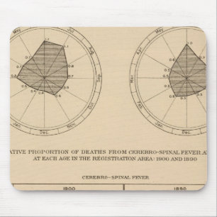 118 Deaths cerebrospinal fever Mouse Pad