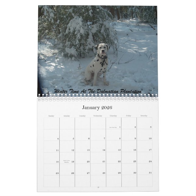 11-2008_02, The Double D Dalmatian... - Customised Calendar (Jan 2026)