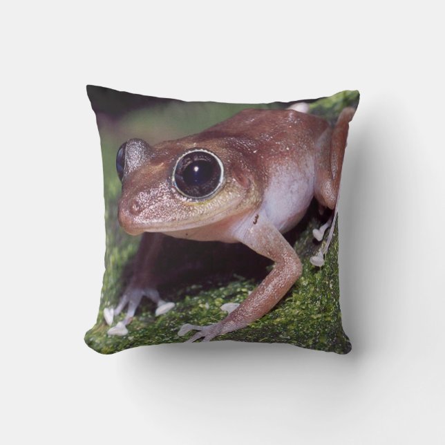 #11-female tree frog cushion (Front)