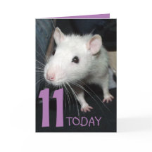 11 today (customisable) Husky rat Birthday Card