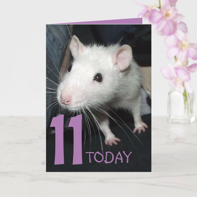11 today (customisable) Husky rat Birthday Card (Orchid)