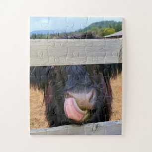 11”x14” Puzzle 30 pc Easy Scottish Highland Cow