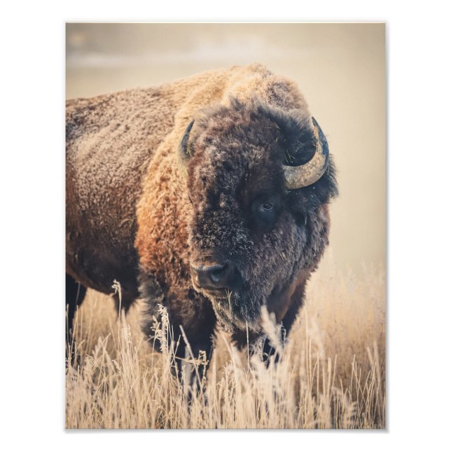 11 x 14 Print - Frosty Morning (Front)