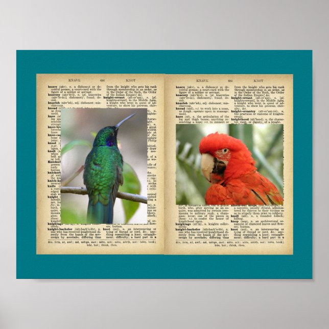 11" x 8.5", Poster (Bird And Text Vintage Designs) (Front)