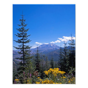 11X14 Mount St Helens Photo Print