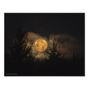 11X14 Super Moon 11-14-16 Photo Print