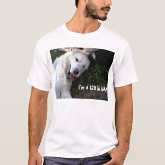 120 lb Baby T-Shirt