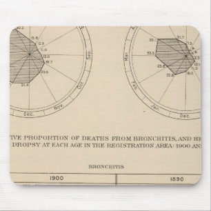 123 Deaths diseases respiratory system, bronchitis Mouse Pad
