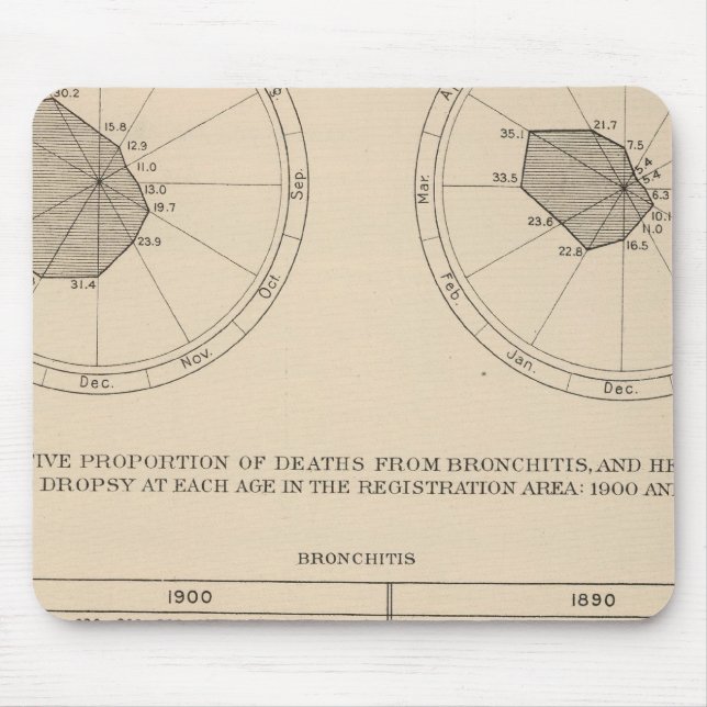 123 Deaths diseases respiratory system, bronchitis Mouse Pad (Front)